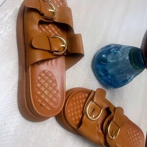 Rogue Brown Slide Sandals with Gold Buckles.Brand New